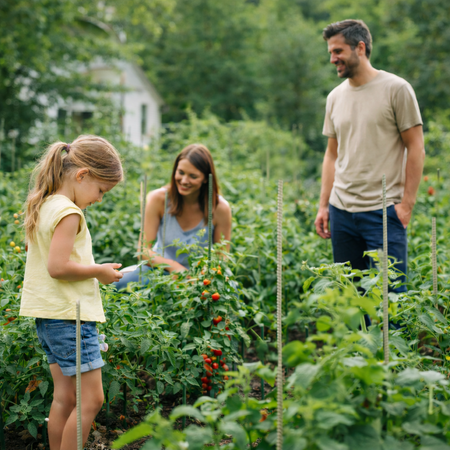 Tyczki kompozytowe do roślin fi 6 mm dł. 170 cm